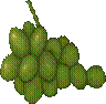 grapes-large.png